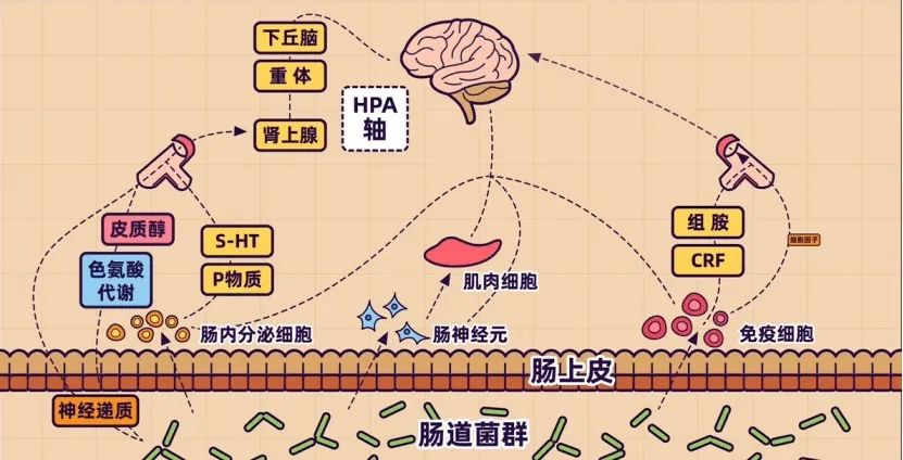 10669联盟pcm